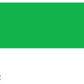 Rosa akrilfesték 60ml – 611 világoszöld