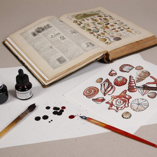 Itatóspapír - Extra minőségű - 200 gr/m2 - A4