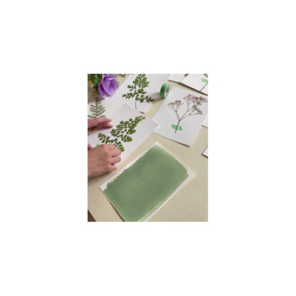 Cianotípia (kéknyomat) - Clairefontaine Komplett Kezdőkészlet - Cyanotype Kit
