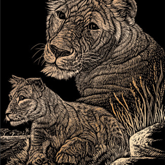 Képkarcoló készlet karctűvel - 20x25 cm - Réz - Oroszlánok