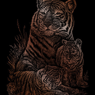 Képkarcoló készlet karctűvel - 20x25 cm - Réz - Tigrisek