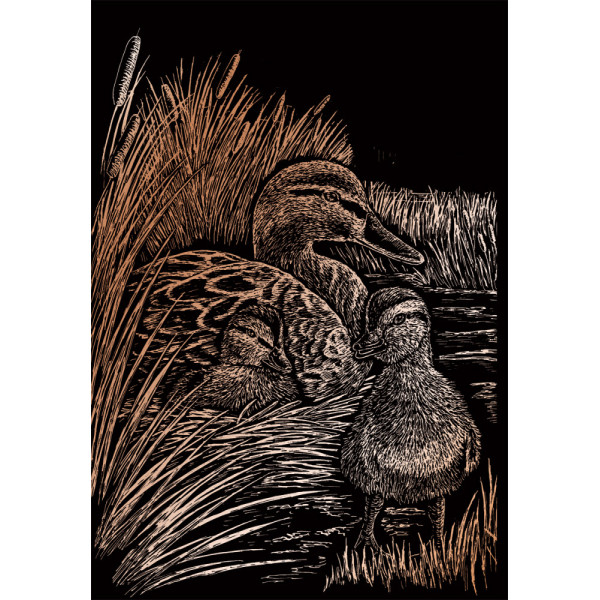 Képkarcoló készlet karctűvel - 20x25 cm - Réz - Kacsák