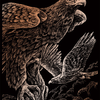 Képkarcoló készlet karctűvel - 20x25 cm - Réz - Sólyom