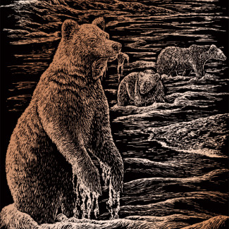 Képkarcoló készlet karctűvel - 20x25 cm - Réz - Grizzli Képkarcoló készlet karctűvel - 20x25 cm - Réz - Grizzli