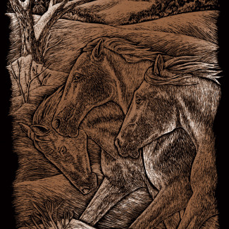 Képkarcoló készlet karctűvel - 20x25 cm - Réz - Lovak