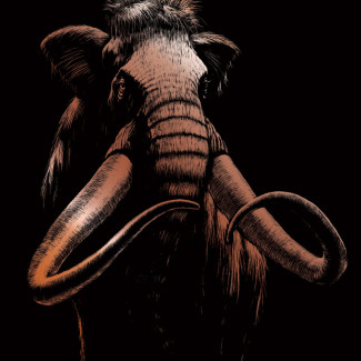 Képkarcoló készlet karctűvel - 20x25 cm - Réz - Mamut