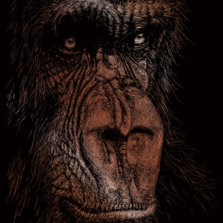 Képkarcoló készlet karctűvel - 20x25 cm - Réz - Emberszabású