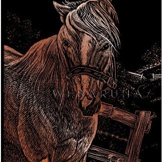 Képkarcoló készlet karctűvel - 13x18 cm - Réz - Ló