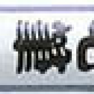 Ecsetirón, ZEBRA "WFSS4", fekete