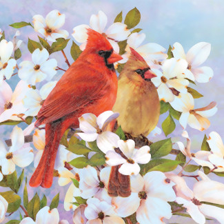 Számozott színező készlet, 20x25cm - Vörösbegyek