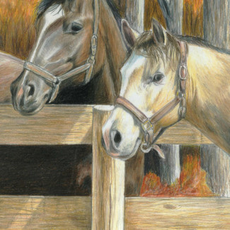 Számozott színező készlet, 20x25cm - Lovak