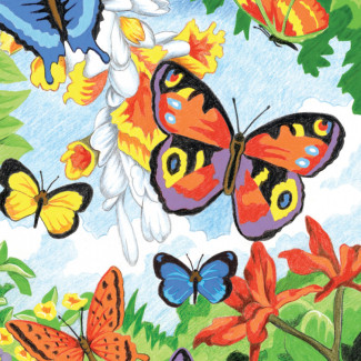 Számozott színező készlet, 20x25cm - Pillangók