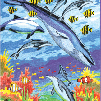 Számozott színező készlet, 20x25cm - Tengerben