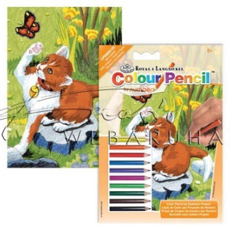 Számozott színező készlet, mini - Cica