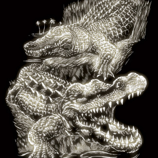 Képkarcoló készlet karctűvel - 20x25 cm - Világítós - Krokodil