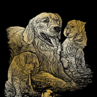 Képkarcoló készlet karctűvel - 20x25 cm - Arany - Gold Retriever