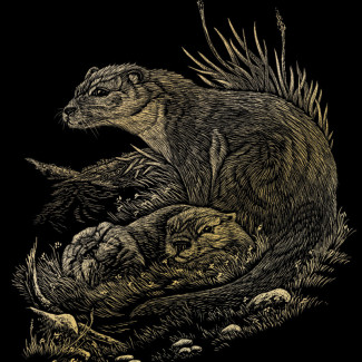 Képkarcoló készlet karctűvel - 20x25 cm - Arany - Vidrák