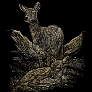 Képkarcoló készlet karctűvel - 20x25 cm - Arany - Őz