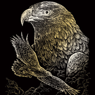 Képkarcoló készlet karctűvel - 20x25 cm - Arany - Sasok