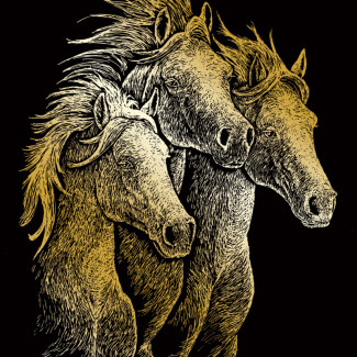 Képkarcoló készlet karctűvel - 20x25 cm - Arany - Lovak