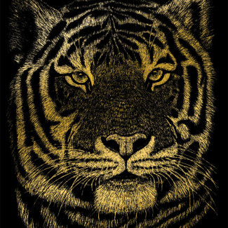 Képkarcoló készlet karctűvel - 20x25 cm - Arany - Bengáli tigris