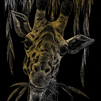 Képkarcoló készlet karctűvel - 20x25 cm - Arany - Zsiráf