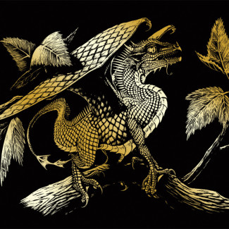 Képkarcoló készlet karctűvel - 20x25 cm - Arany - Sárkány