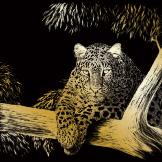 Képkarcoló készlet karctűvel - 20x25 cm - Arany - Leopárd