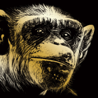 Képkarcoló készlet karctűvel - 20x25 cm - Arany - Emberszabású