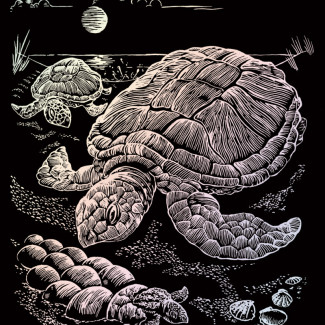 Képkarcoló készlet karctűvel - 20x25 cm - Holografikus - Tengeri teknős