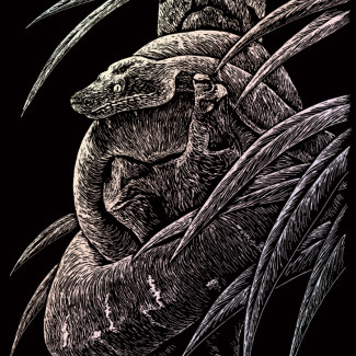 Képkarcoló készlet karctűvel - 20x25 cm - Holografikus - Kígyó