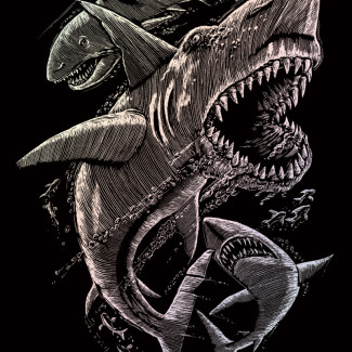 Képkarcoló készlet karctűvel - 20x25 cm - Holografikus - Cápák