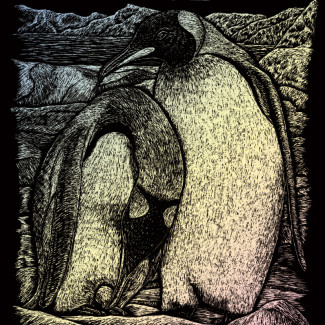 Képkarcoló készlet karctűvel - 20x25 cm - Holografikus - Pingvin