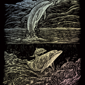 Képkarcoló készlet karctűvel - 20x25 cm - Holografikus - Delfinek