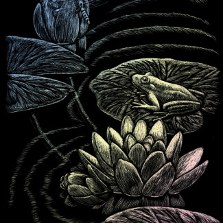 Képkarcoló készlet karctűvel - 20x25 cm - Holografikus - Békás tó