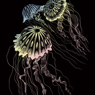 Képkarcoló készlet karctűvel - 20x25 cm - Holografikus - Medúza