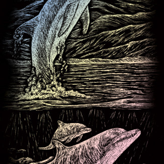Képkarcoló készlet karctűvel - 13x18 cm - Holografikus - Delfin