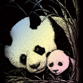 Képkarcoló készlet karctűvel - 13x18 cm - Holografikus - Panda