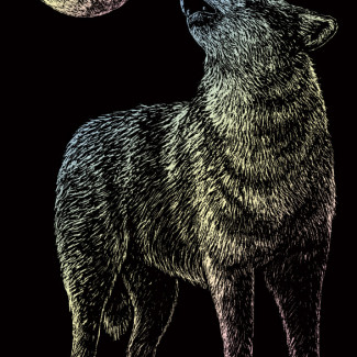 Képkarcoló készlet karctűvel - 13x18 cm - Holografikus - Farkas