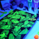 Akrilfesték készlet, sűrű - MEEDEN 6-color Fluorescent Acrylic Paint, 60 ml tube Akrilfesték készlet, sűrű - MEEDEN 6-color Fluorescent Acrylic Paint, 60 ml tube