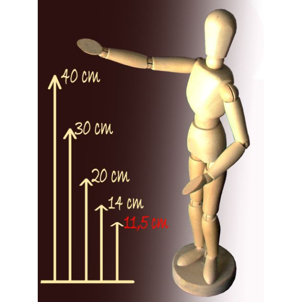 Modell Fabáb - 30 cm, mágneses Modell Fabáb - 30 cm, mágneses