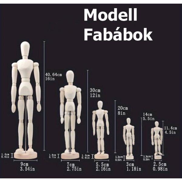 Modell Fabáb - 30 cm, mágneses Modell Fabáb - 30 cm, mágneses