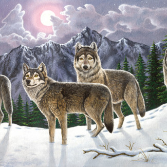 Kifestő készlet számokkal, ecsettel, felnőtteknek - 30x40 cm - Farkasok