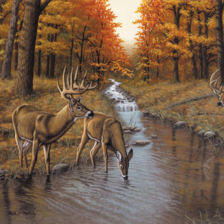 Kifestő készlet számokkal, ecsettel, felnőtteknek - 30x40 cm - Patak