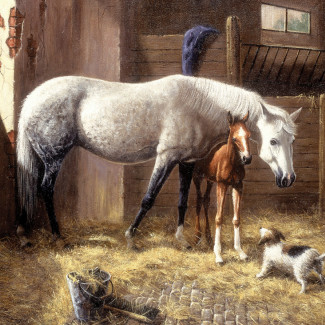 Kifestő készlet számokkal, ecsettel, felnőtteknek - 30x40 cm - Új barátok - Újra kapható!