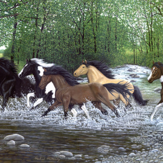 Kifestő készlet számokkal, ecsettel, felnőtteknek - 30x40 cm - Vadlovak télen - Újra kapható!