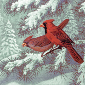 Kifestő készlet számokkal, ecsettel, felnőtteknek - 30x40 cm - Vörösbegy - Újra kapható