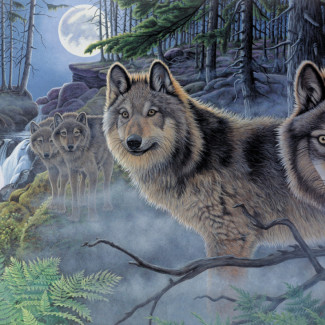 Kifestő készlet számokkal, ecsettel, felnőtteknek - 30x40 cm - Farkasok holdfényben