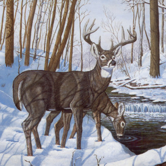 Kifestő készlet számokkal, ecsettel, felnőtteknek - 30x40 cm - Szarvasok télen