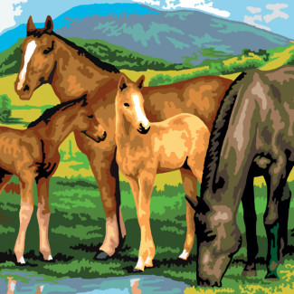 Kifestő készlet akrilfestékkel, ecsettel, gyerekeknek 11 éves kortól - 30x40 cm - Lovak